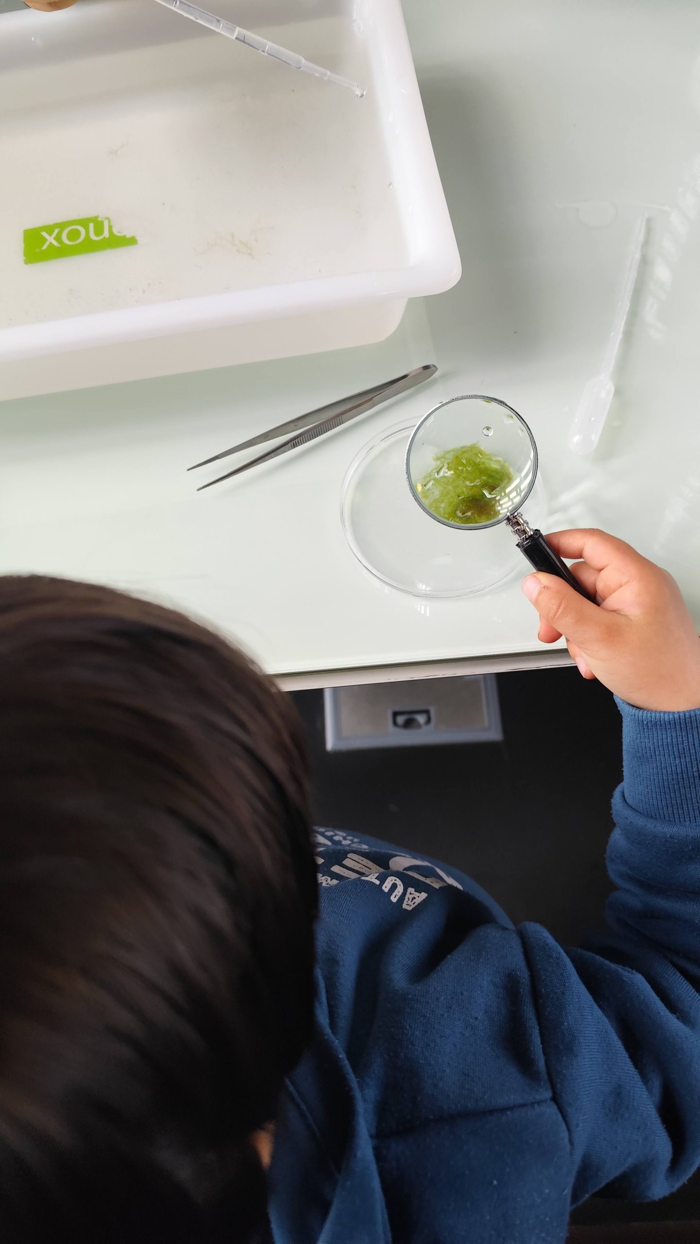 Há Vida nas Águas das Marinhas