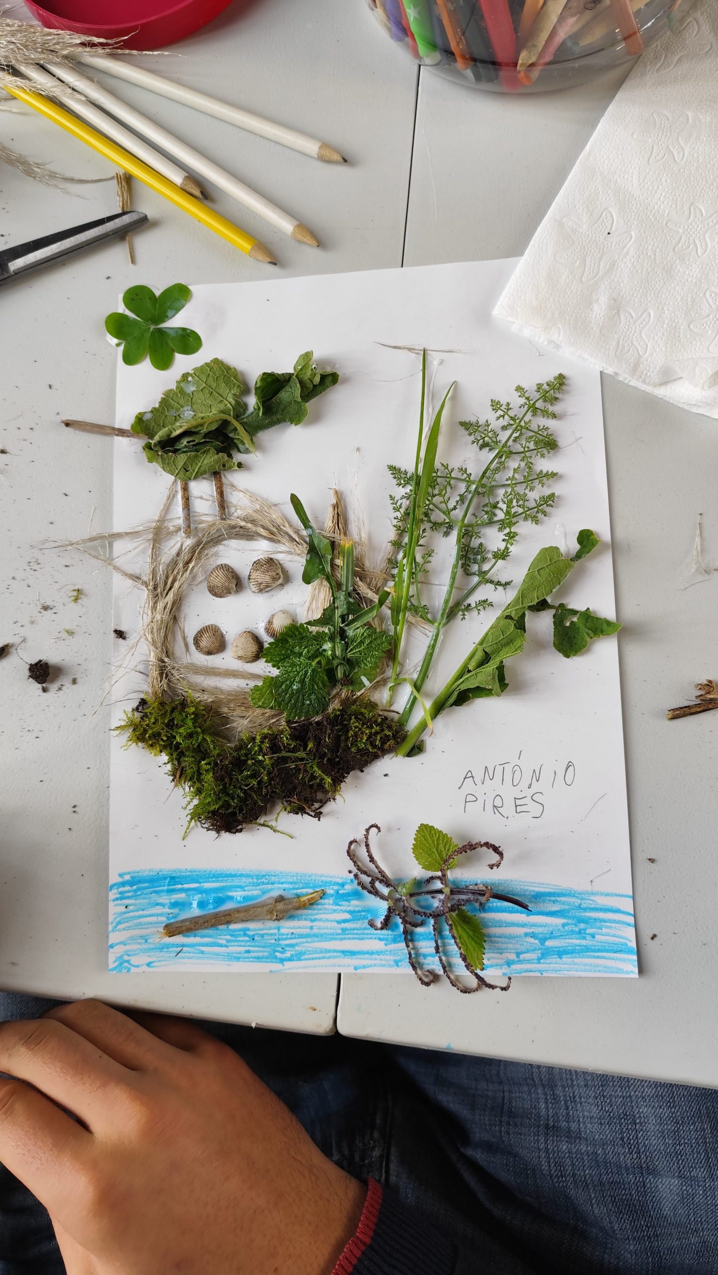 A Natureza no Papel | Oficinas com Vida