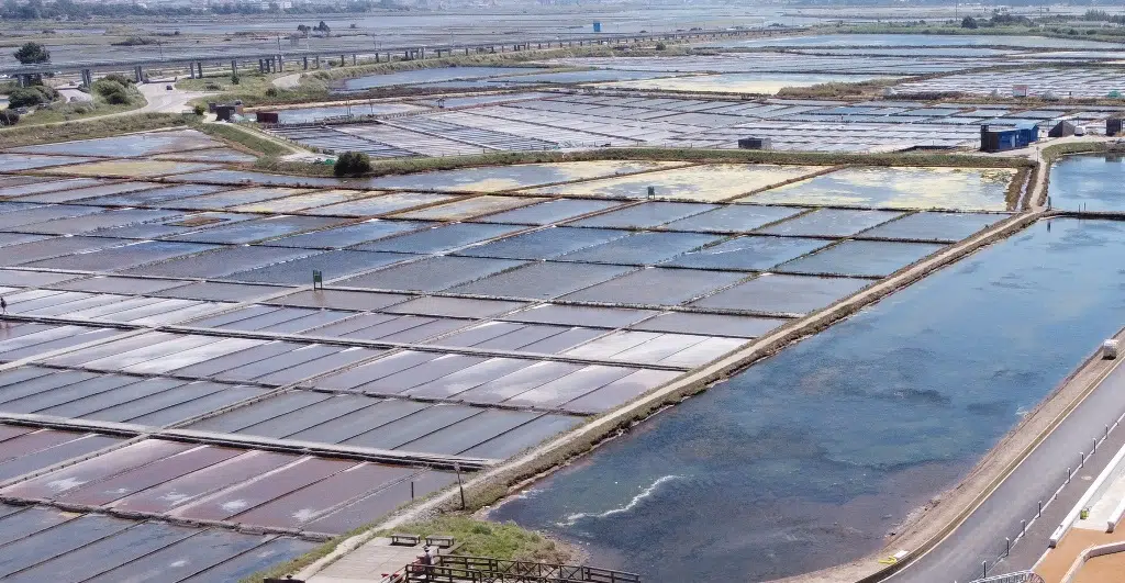 Renaturalização das Salinas