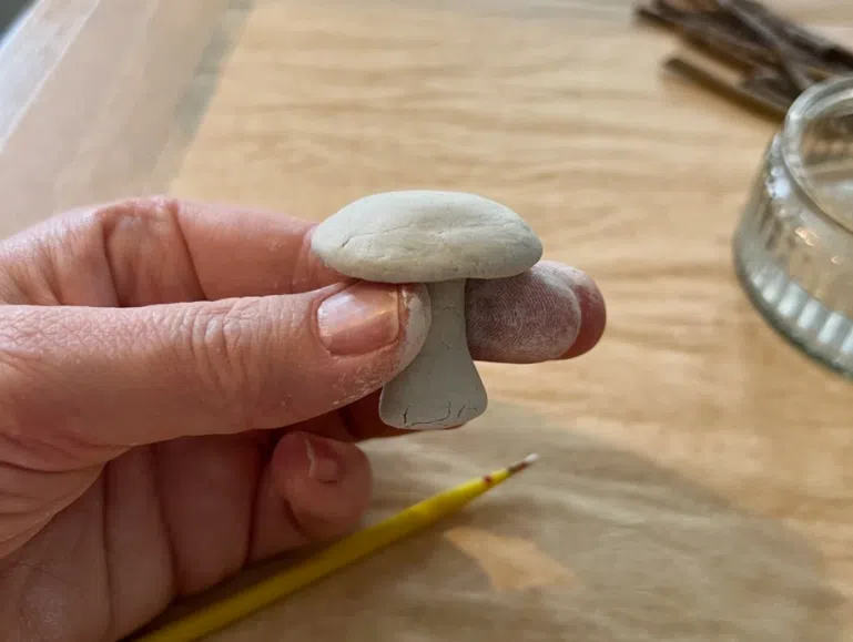 Conhecer e moldar: Cogumelos em Barro | Oficinas com Vida