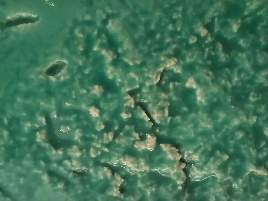 Ecos, fissuras e mundo nas mãos | Visita performativa Ana Amaral