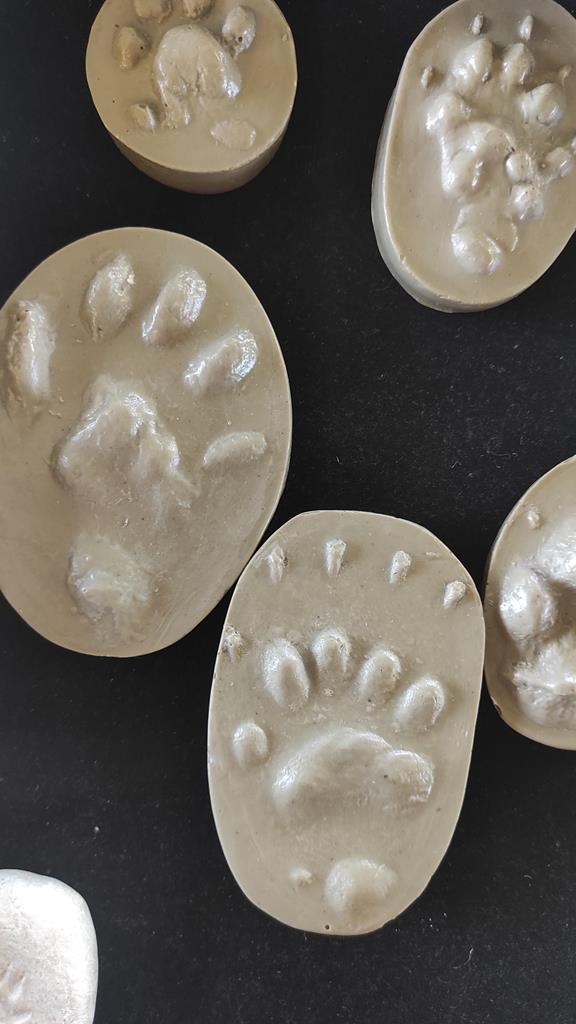 Mamíferos e Pegadas da Ria | Oficinas com Vida