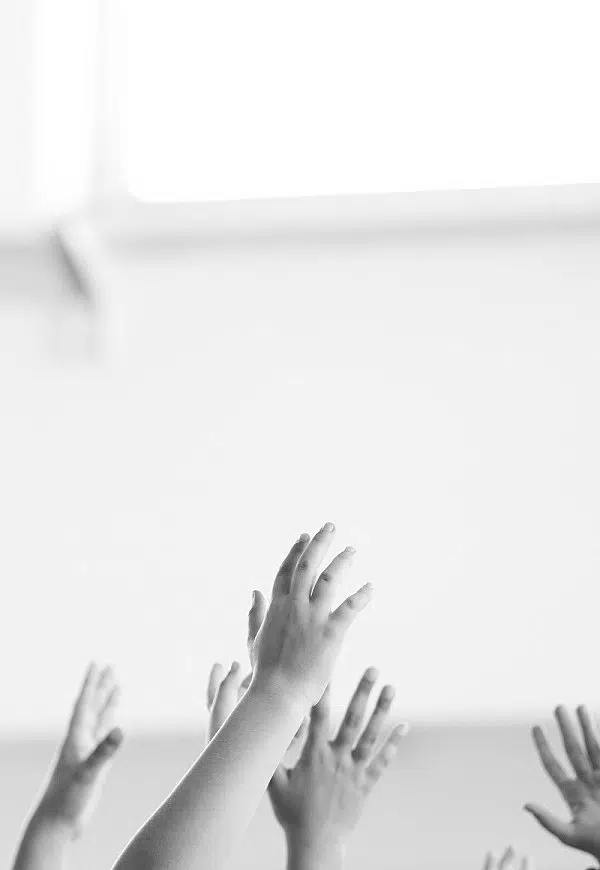 Penso, logo Danço! Orquestra das Beiras e LP Studio