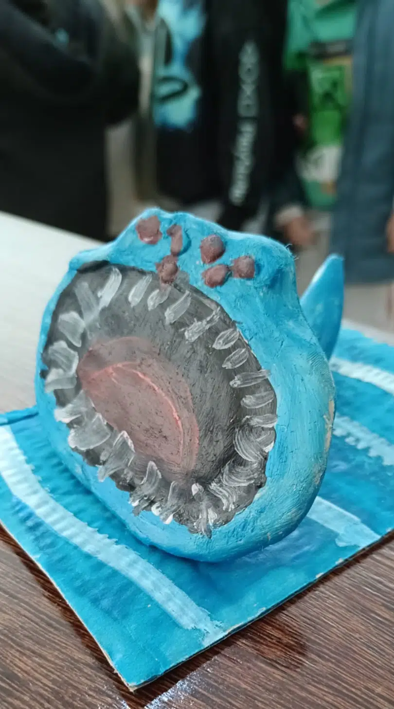 Que carranca é esta?