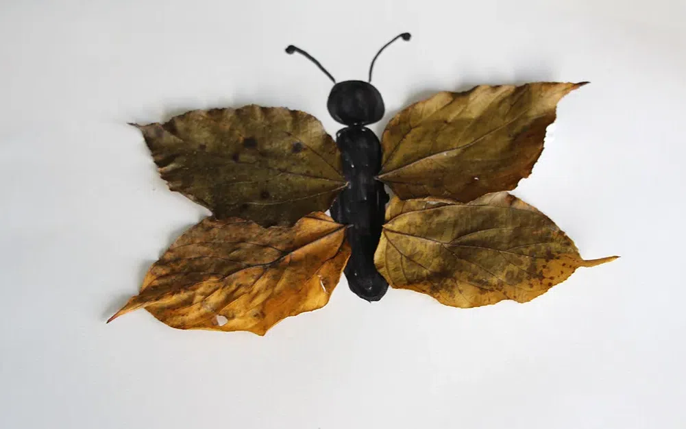 Natureza no Papel | Oficinas com Vida