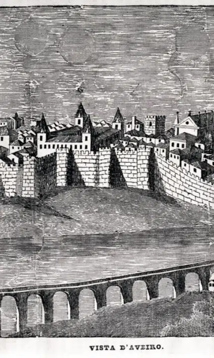 Elevação de Aveiro a Cidade 1759