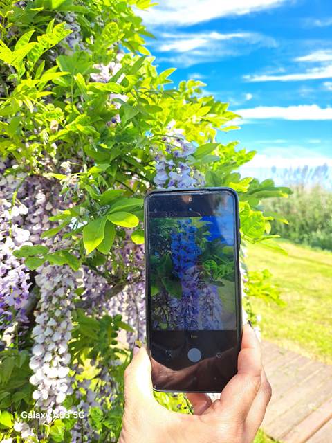 Natureza num Clique | Oficinas com Vida