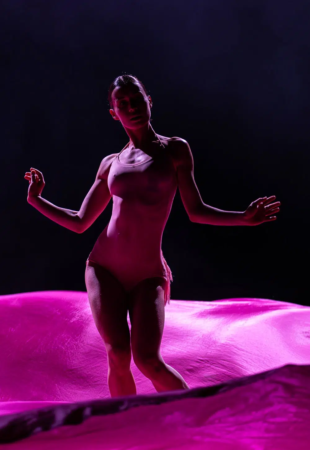 Flamingo | Remy Tilburg