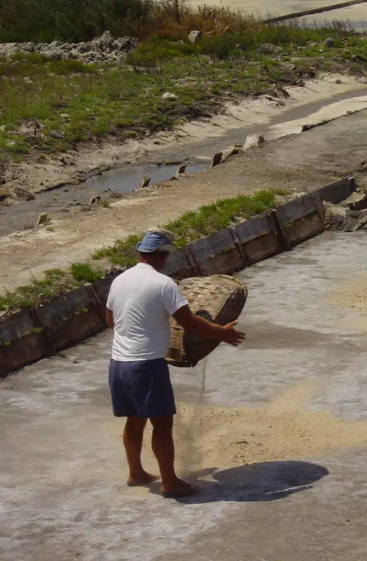 Aveiro e a Memória das Salinas