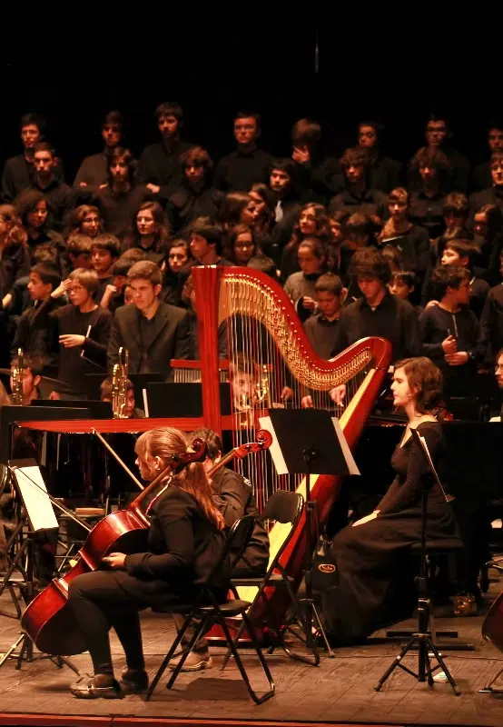 Concerto pela Banda Sinfónica do CMACG